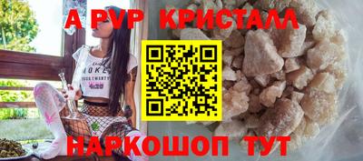 герыч Кингисепп