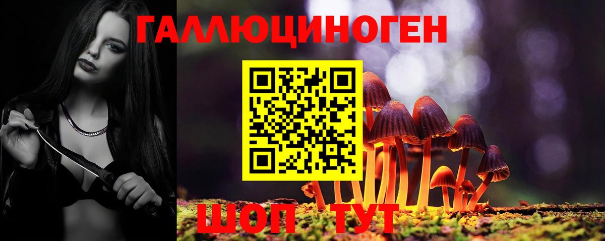 Галлюциногенные грибы MAGIC MUSHROOMS  Псилоцибиновые грибы мицелий  купить  сайты  Вход с VPN  Кубинка 